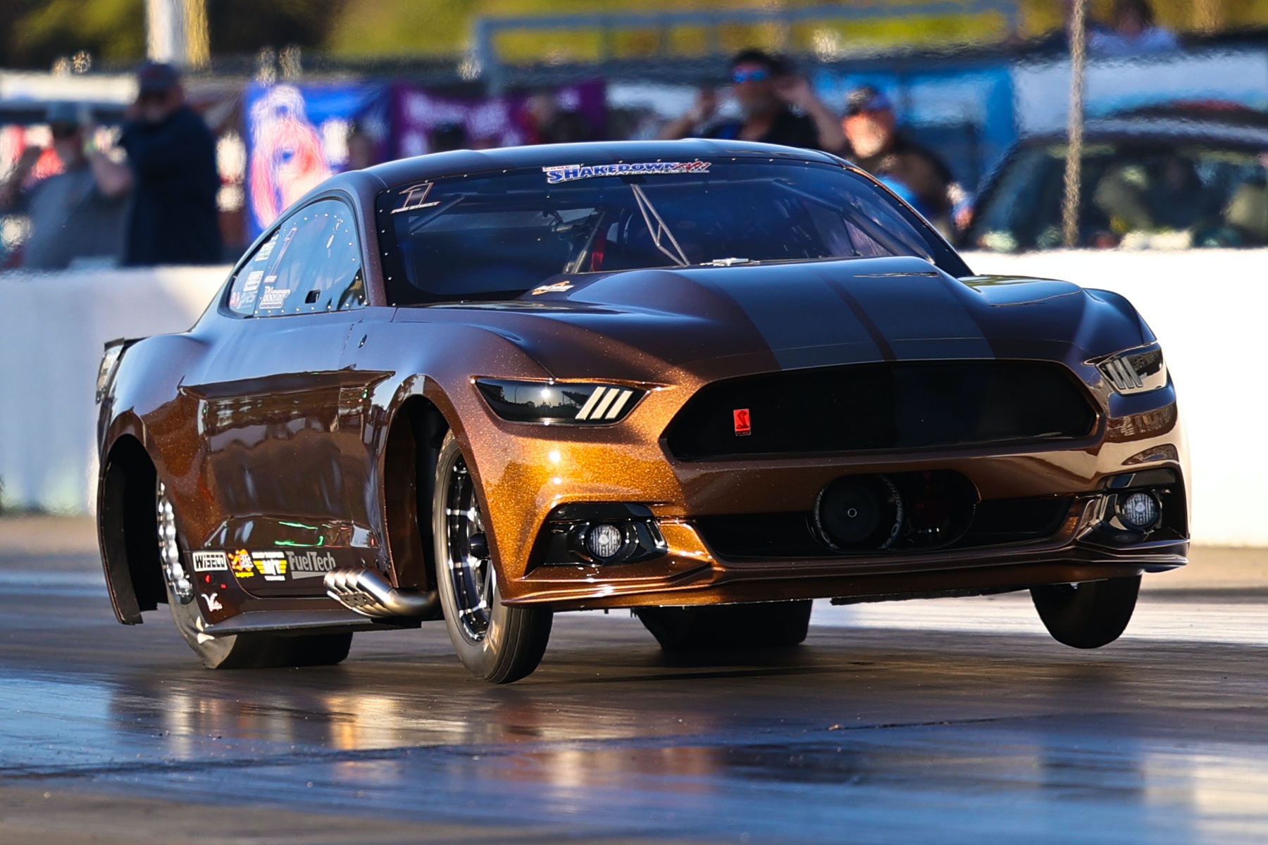 Halsey, Salemi, Rice, Melnick, Davis and Essick Score PDRA East Coast ...