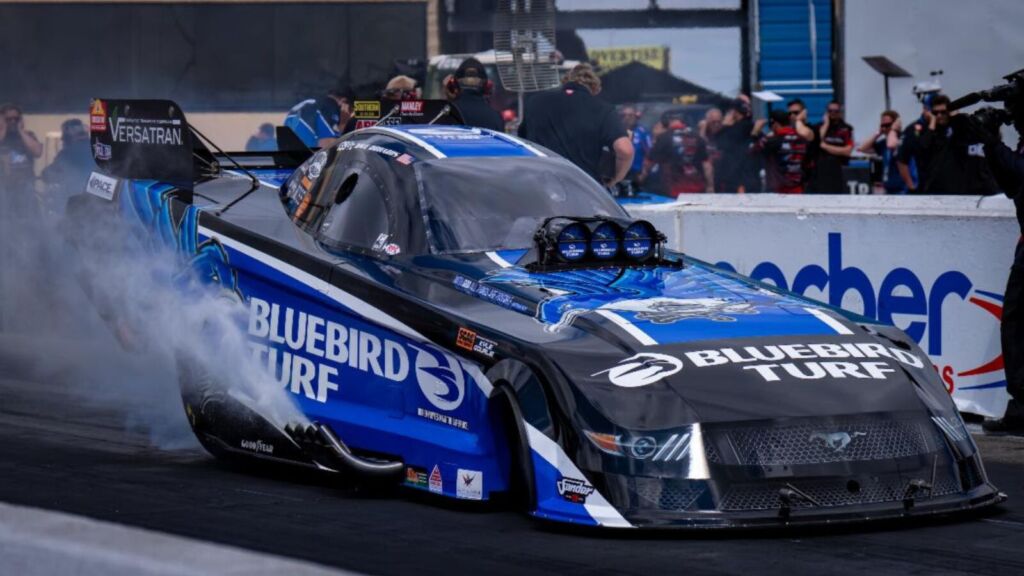 【本物】Formura Energy - Dave Rastovich 本物】Formura Energy - Dave Rastovich 本物】Formura Energy - Dave